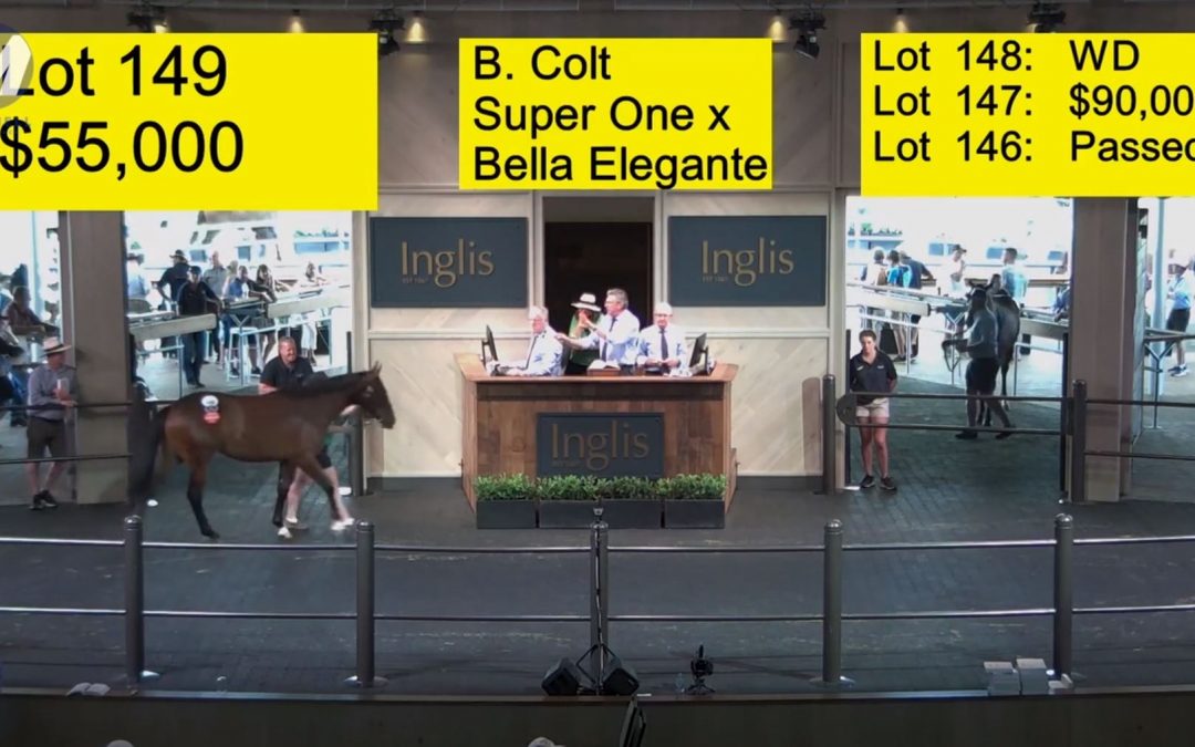 VIDEO: MB purchases at 2019 Inglis Classic